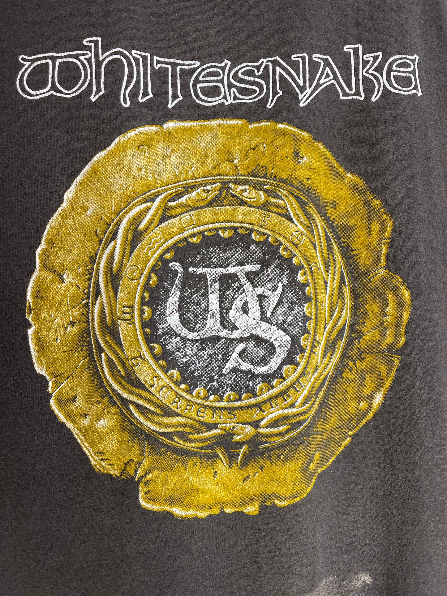 Whitesnake